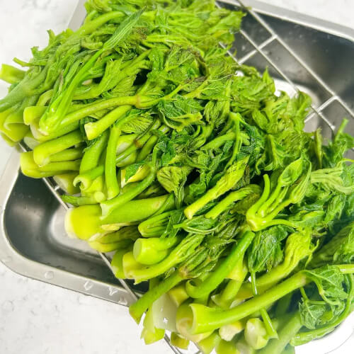 엄나무순장아찌 데치기 먹는법 효능과 보관법 관련사진