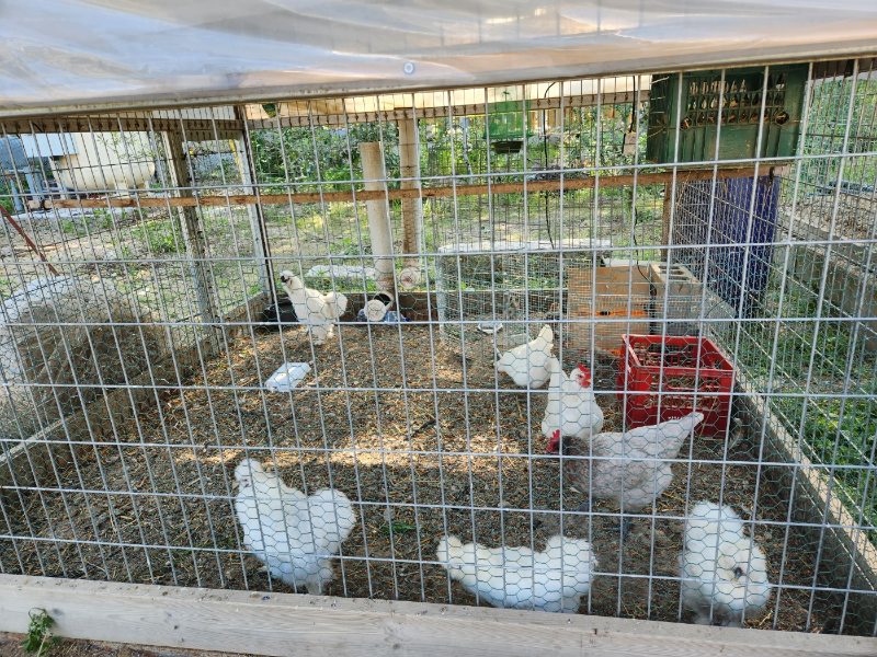 포천 아쿠아마린 글램핑