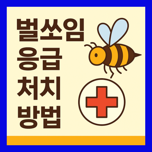 벌쏘임 응급 처치 방법, 연고 사용 예방 정리