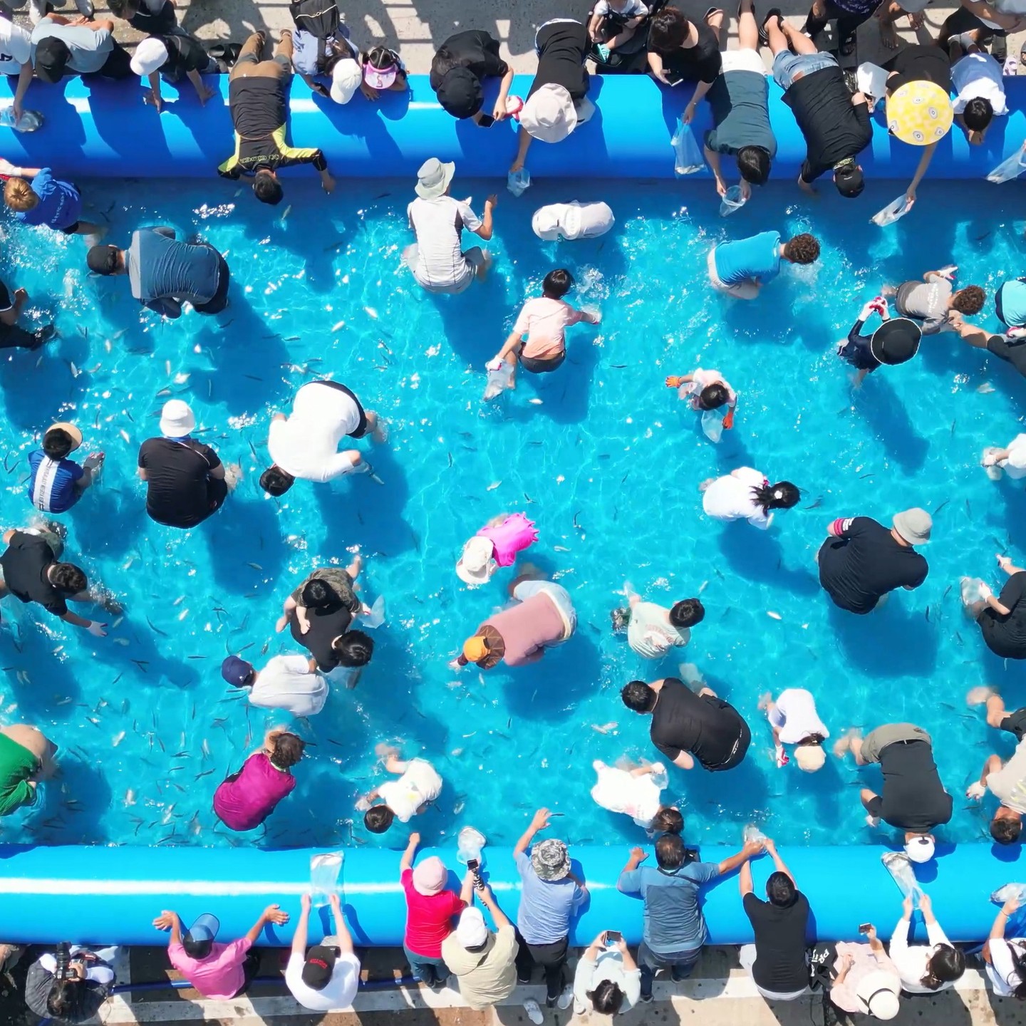 서천 홍원항 전어 꽃게 축제