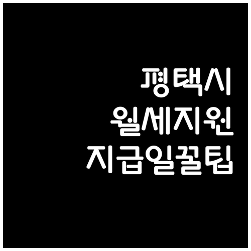 평택시 청년월세지원 신청 방법부터 지..