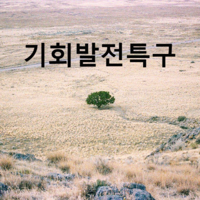 기회발전특구