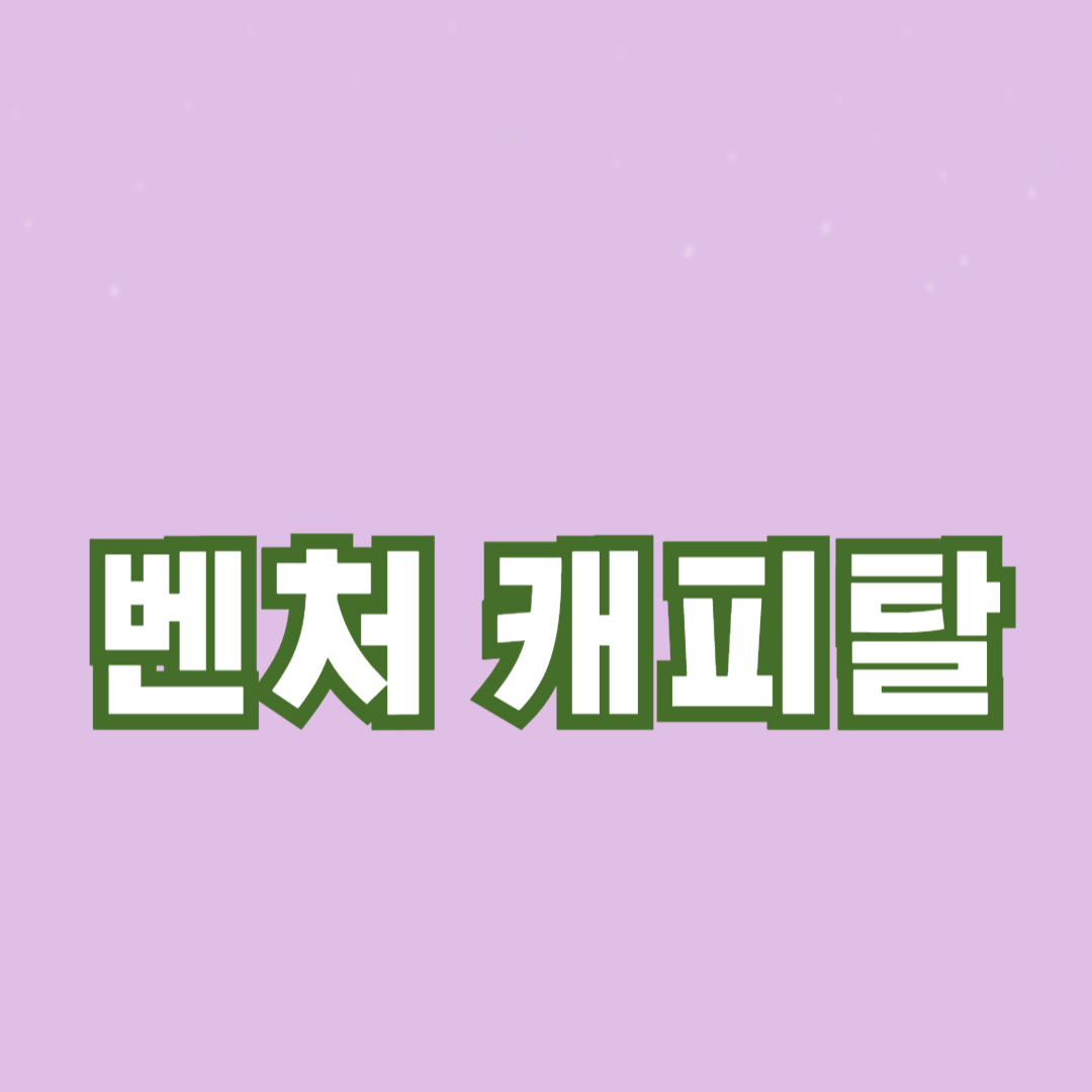벤처 캐피탈이란 무엇인가: 기초 개념과 역할