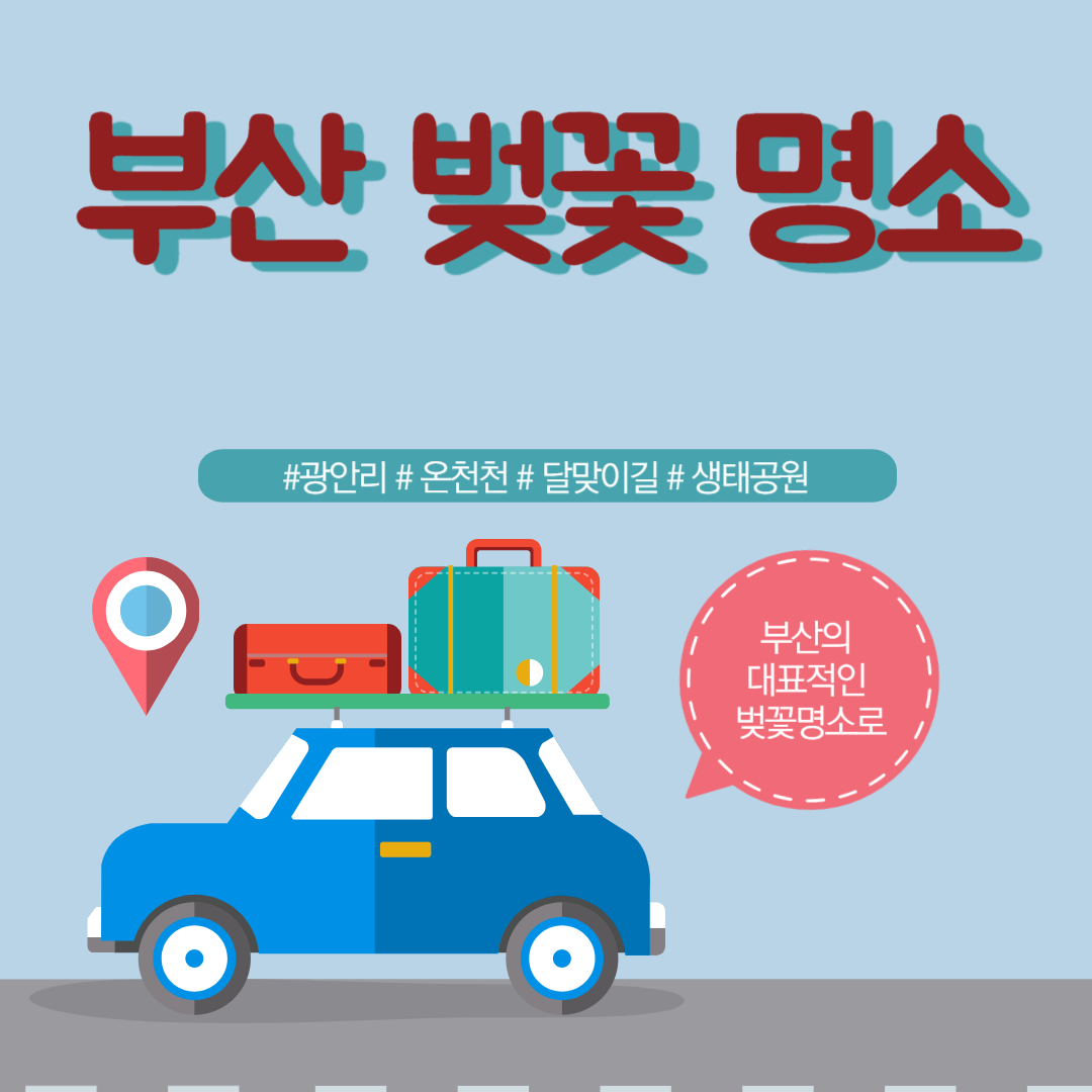 부산의 대표적인 벚꽃 명소 안내