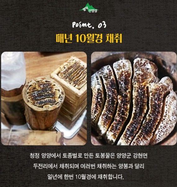 한국기행-토종꿀-김성진-민통선-설악산-토봉꿀