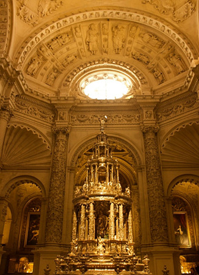 성체보관실 사진