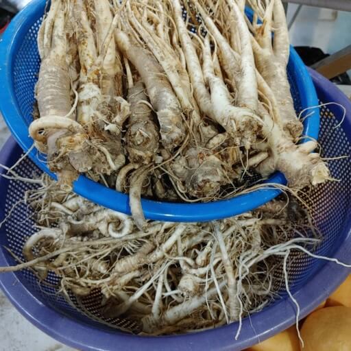 도라지(도라지차, 도라지청) 효능 9가지 및 부작용과 주의사항