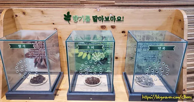 충청남도산림박물관