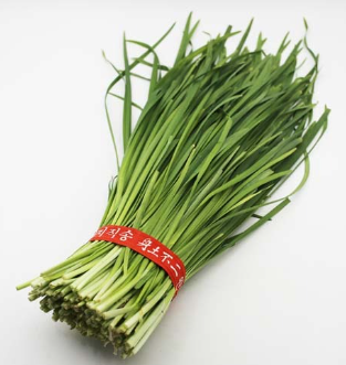 부추 키우기, 재배 방법, 심는 시기, 효능 알아보기