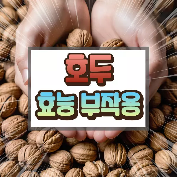 호두 효능 부작용