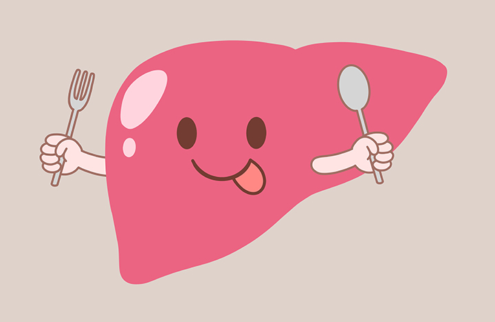 건강한-간-모습