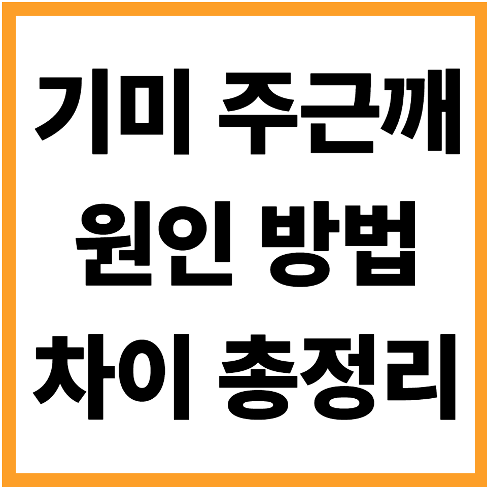 기미 주근깨 차이