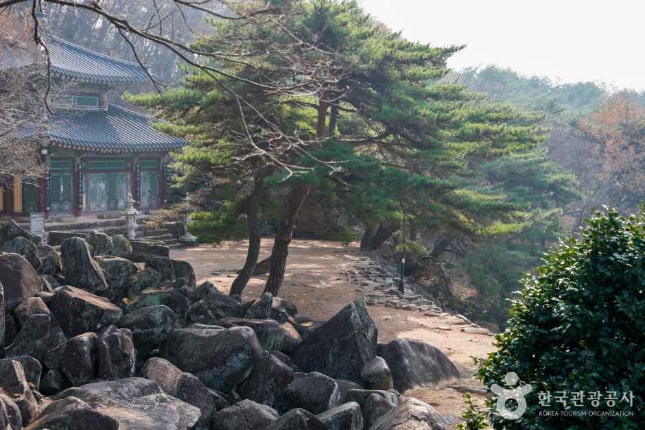 밀양 가볼만한곳 베스트10