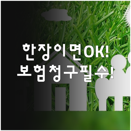 동물병원 진료비 보험 청구, 이 서류..