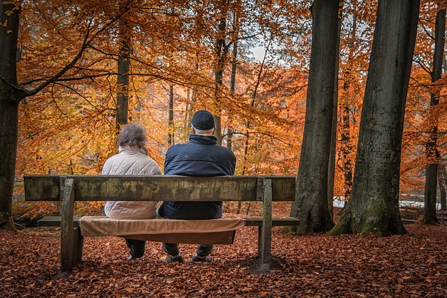 국민연금조시수령1
