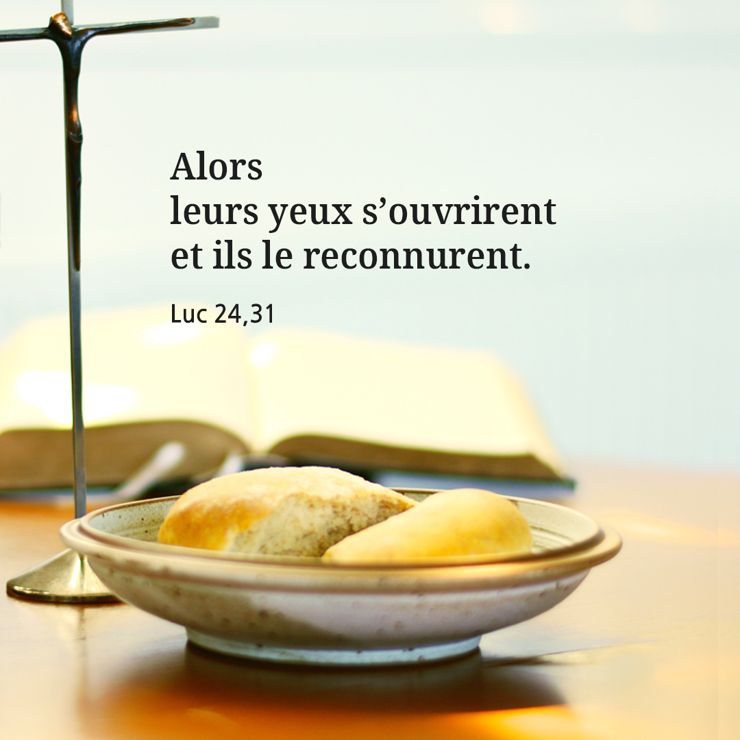 Alors leurs yeux s&rsquo;ouvrirent&#44; et ils le reconnurent. (Luc 24&#44;31)