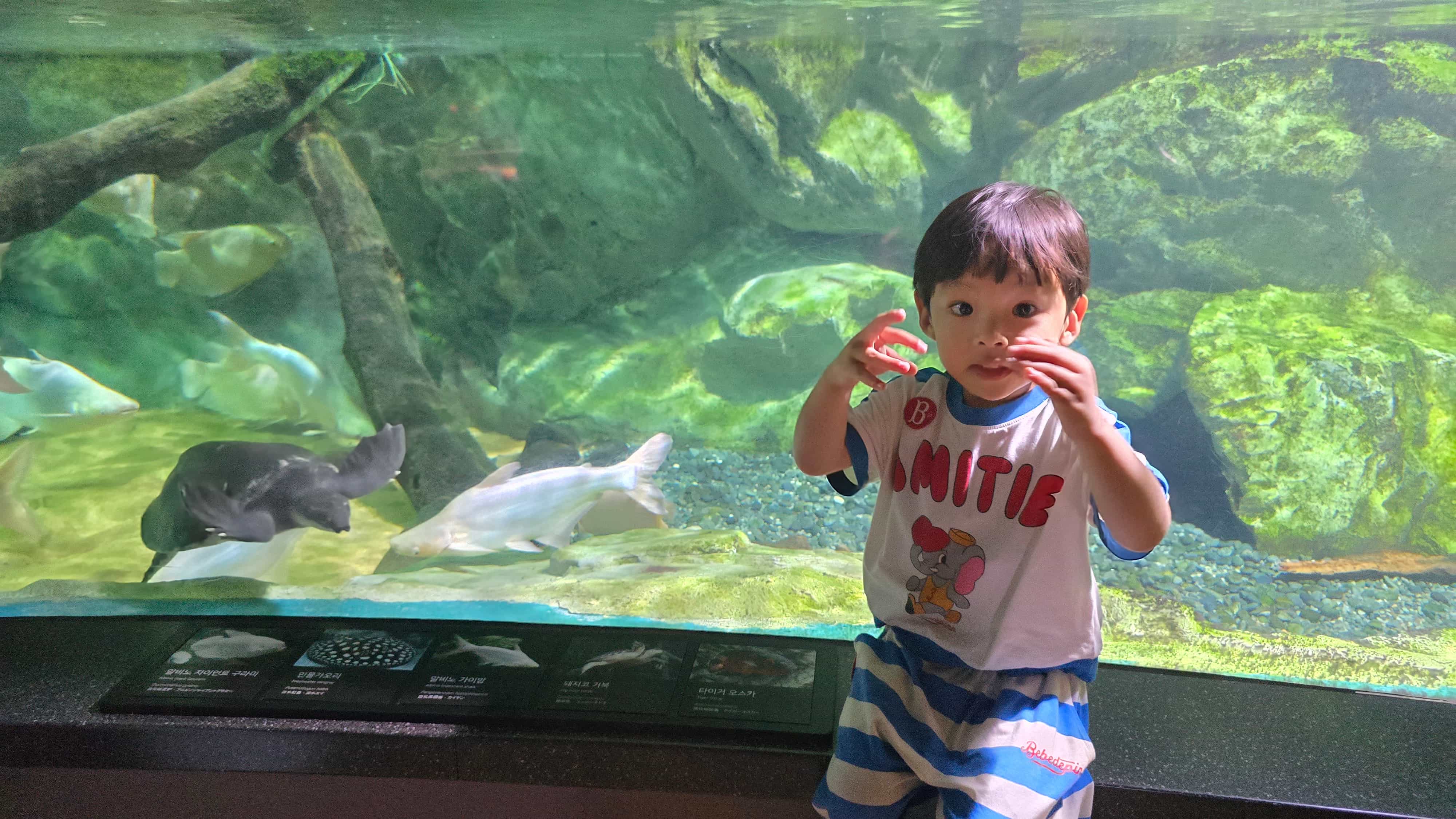 코엑스아쿠아리움 수족관 앞 아이의 모습-1