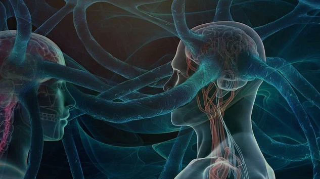 성공한 사람들이 지능보다 더 중요하게 여기는 사고 방식