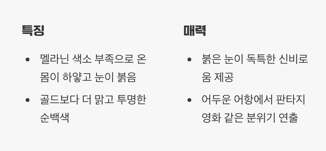 신비로운 순백의 &lsquo;알비노 안시롱핀&rsquo;