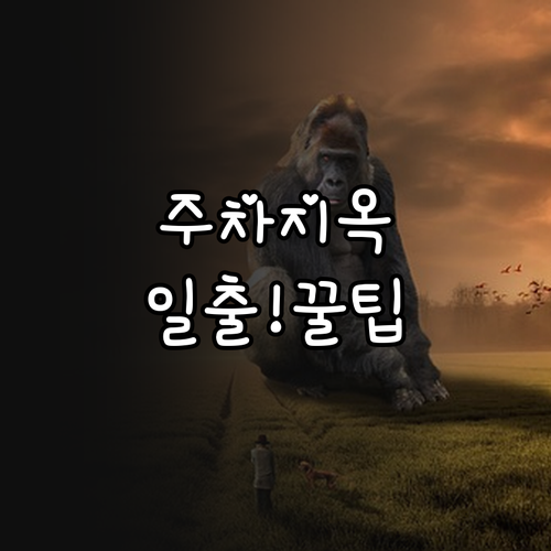 일출 명소 주차 대란 피하는 법 셔틀..