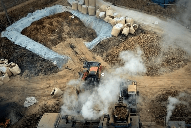 조류인플루엔자