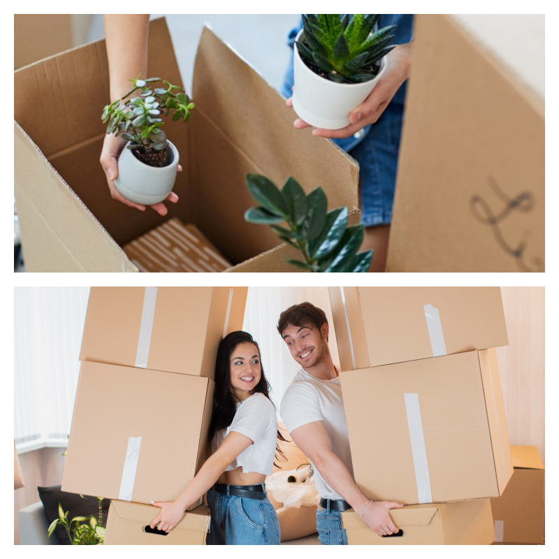 성남 수정구 포장이사