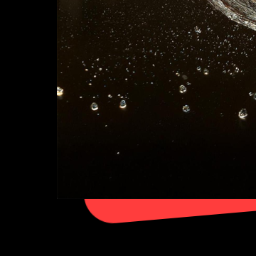 홍성남당항 대하축제