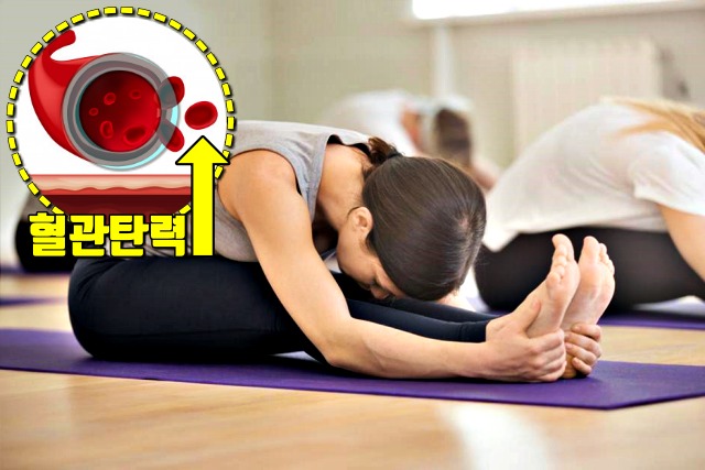 혈관에 좋은 운동,팁줌