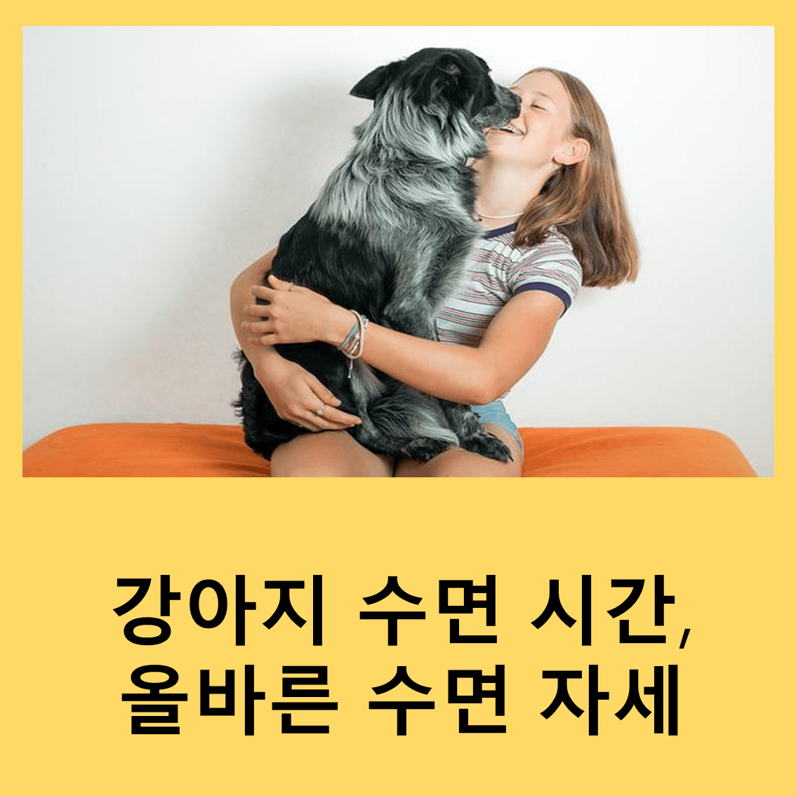 강아지