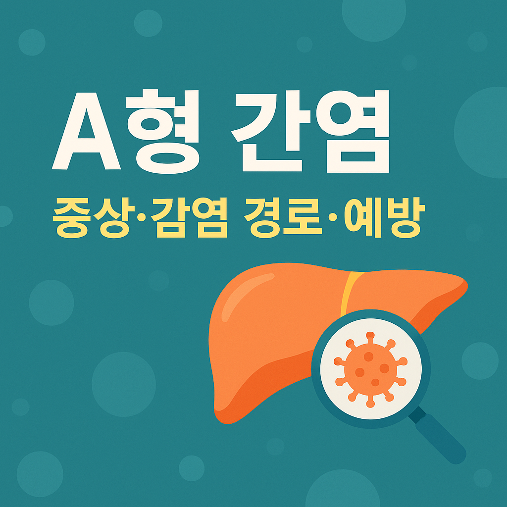 A형 간염 증상·감염 경로·예방까지 한눈에 정리