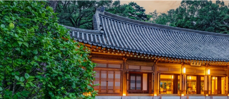 청와대 야간개장