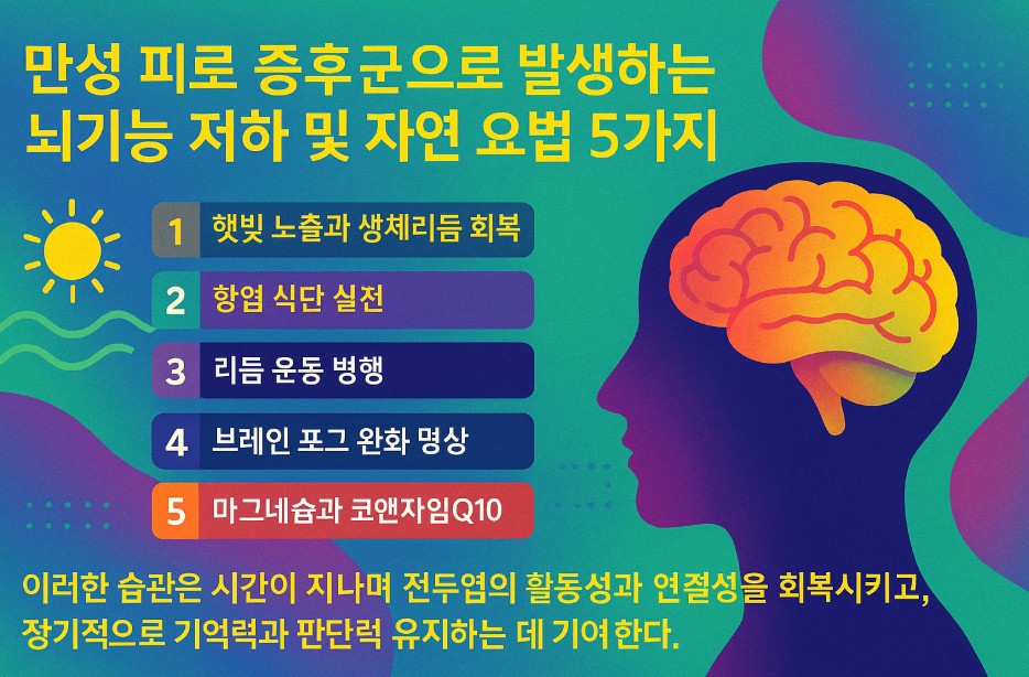 이 이미지는 다양한 색상을 사용해 '만성 피로 증후군과 뇌기능 저하 자연 요법'이라는 제목을 강조하며 주목도를 높였다. 밝고 긍정적인 톤으로 구성되어 뇌 건강 회복에 대한 희망적 메시지를 시각적으로 전달한다.