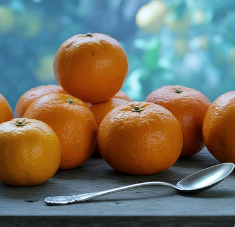 비염에 좋은 음식