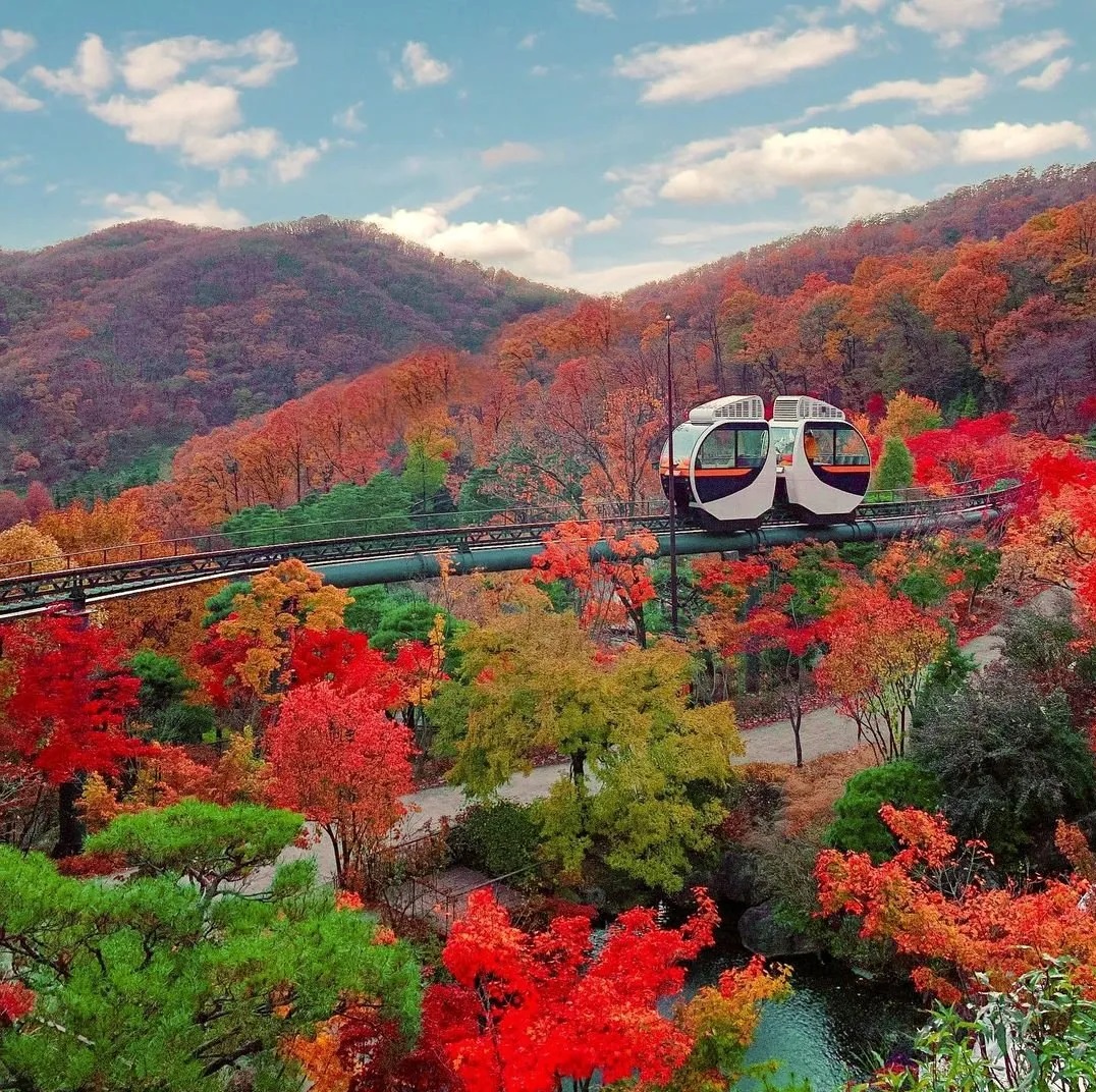 2025 화담숲 모노레일 예매 방법