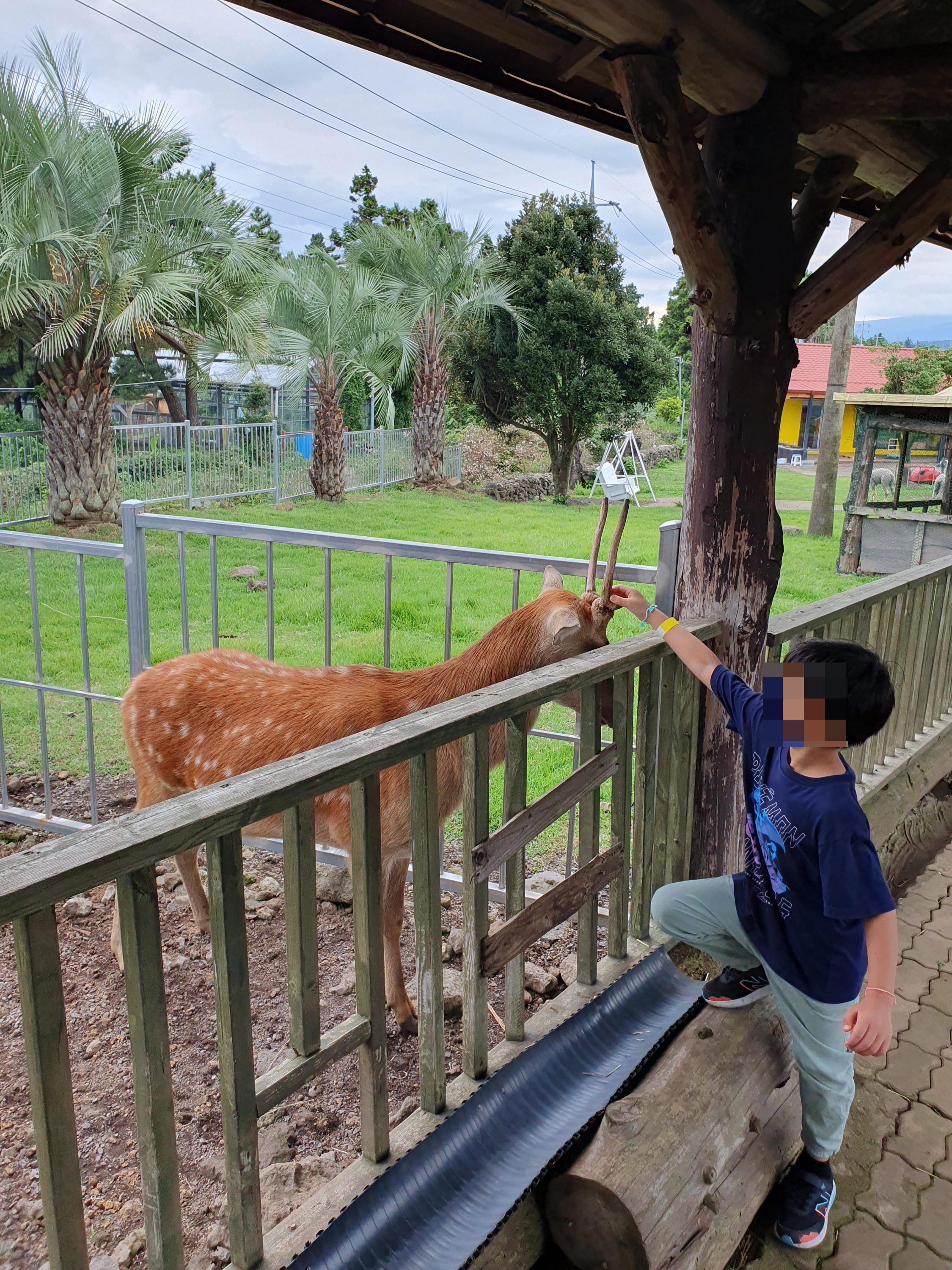 최남단 체험 감귤농장