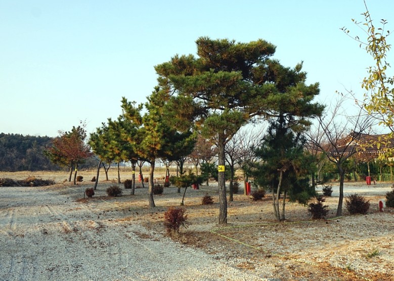 인천 캠핑장 추천 (주소, 전화번호) - 가족캠핑 글램핑 야영장 오토캠핑 카라반