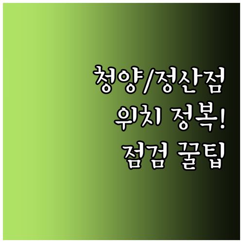 현대자동차 블루핸즈 청양점 정산점 상..
