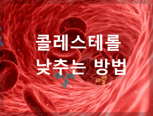 콜레스테롤-낮추는방법