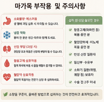 마가목-효능-성질-진액-부작용-효과