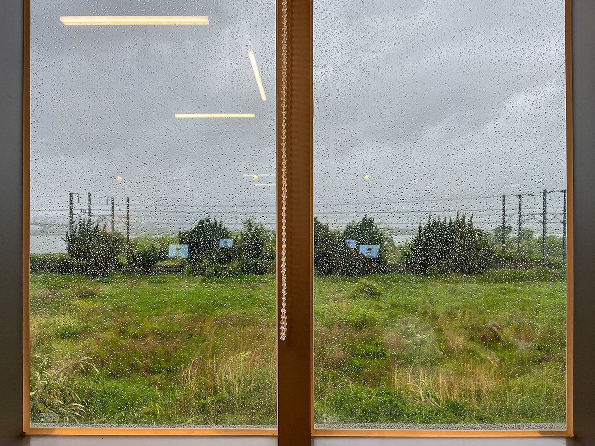 부산 호포 양산 돌짬뽕