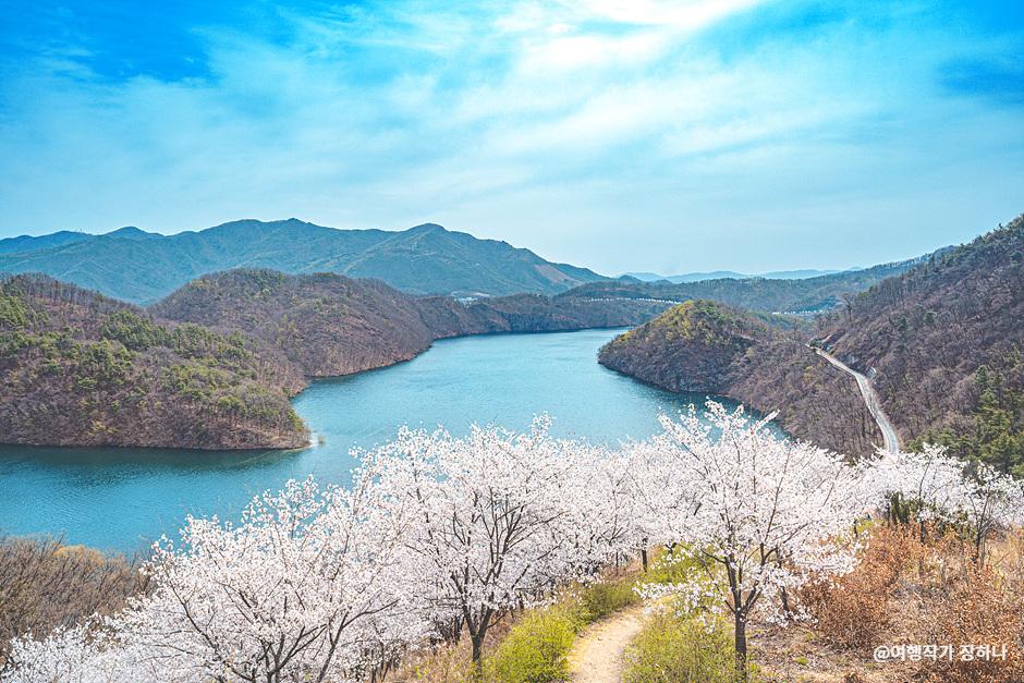 미르숲&amp;#44; 농암정