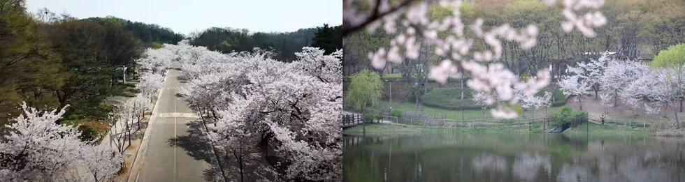 인천대공원