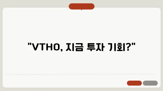 e토르토큰(VTHO) 투자 시 고려사항