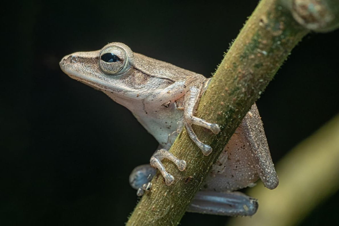 자연 재해 예측의 한계와 카오스 모델링