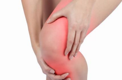 호관원 프리미엄 가격