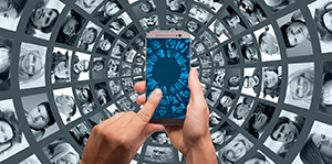 귀 식물 커뮤니티와 네트워크 활용법