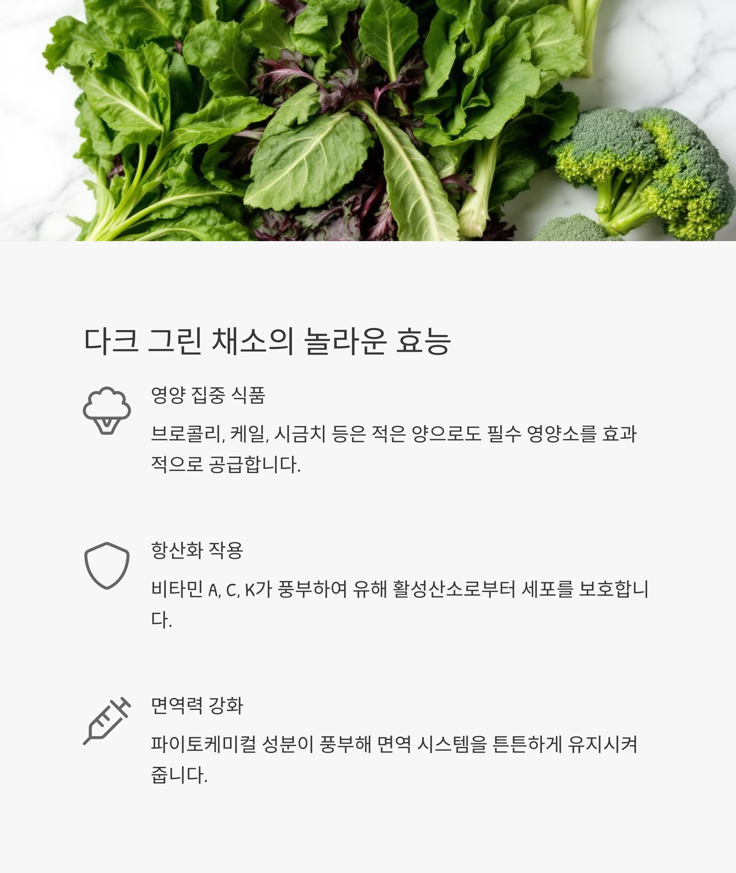 매일 먹으면 좋은 건강식품 BEST 10