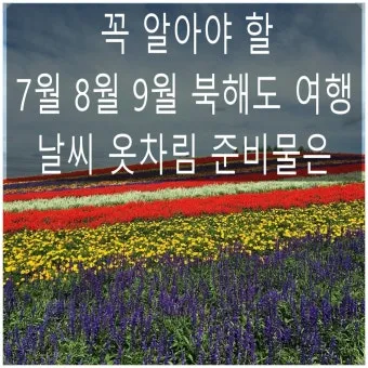 홋카이도 북해도 오타루 자유여행 코스 일정_4
