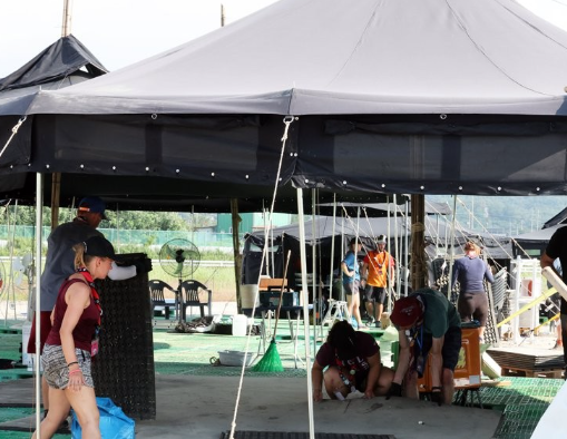 잼버리 조기철수