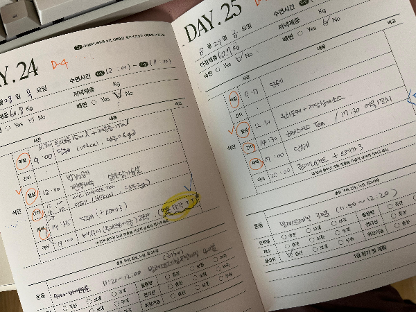 식단일기